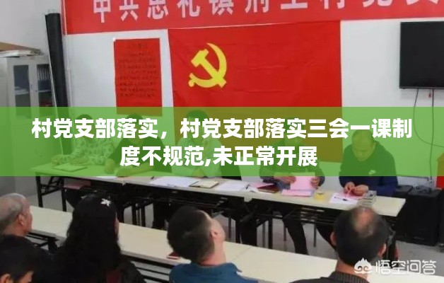 村党支部落实，村党支部落实三会一课制度不规范,未正常开展 