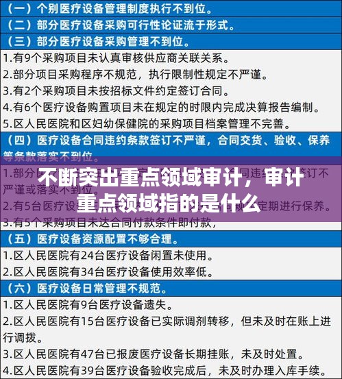 不断突出重点领域审计，审计重点领域指的是什么 