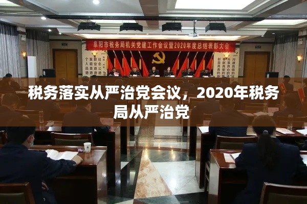 税务落实从严治党会议，2020年税务局从严治党 