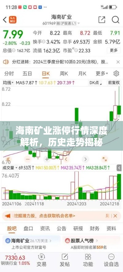 海南矿业涨停行情深度解析，历史走势揭秘