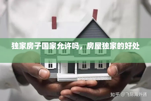 独家房子国家允许吗，房屋独家的好处 