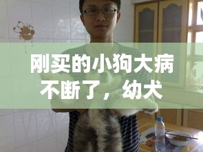 刚买的小狗大病不断了，幼犬生病了 