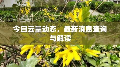 今日云量动态，最新消息查询与解读