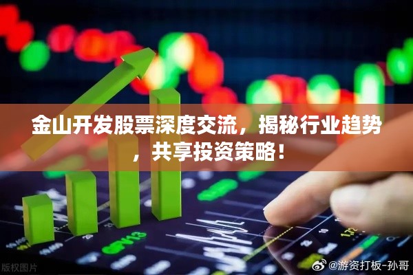 金山开发股票深度交流，揭秘行业趋势，共享投资策略！