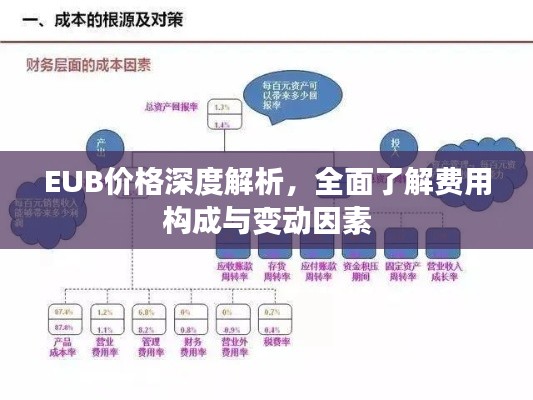 EUB价格深度解析，全面了解费用构成与变动因素