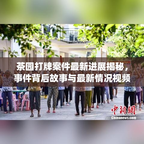 茶园打牌案件最新进展揭秘，事件背后故事与最新情况视频曝光