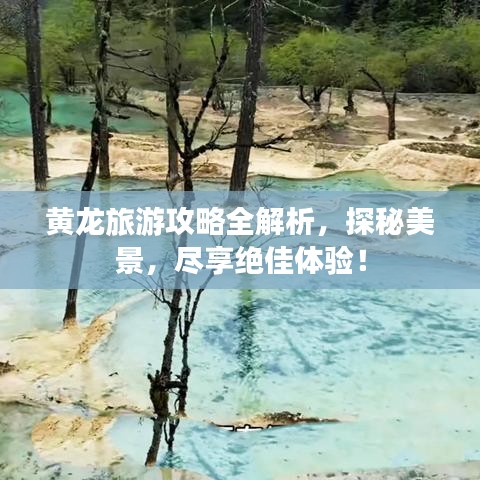 黄龙旅游攻略全解析，探秘美景，尽享绝佳体验！
