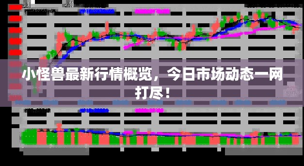 小怪兽最新行情概览，今日市场动态一网打尽！