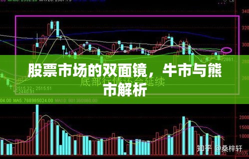 股票市场的双面镜，牛市与熊市解析
