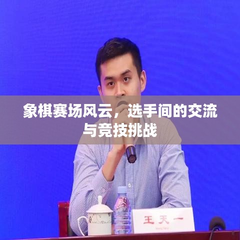 象棋赛场风云，选手间的交流与竞技挑战