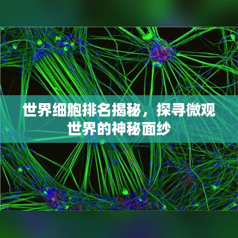 世界细胞排名揭秘，探寻微观世界的神秘面纱