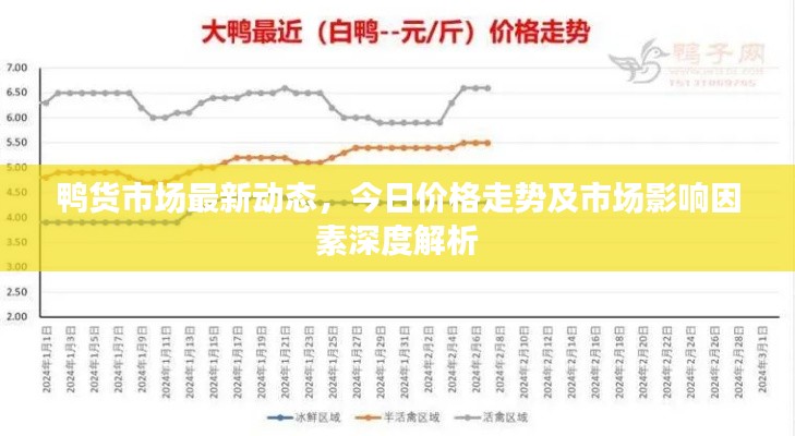 鸭货市场最新动态，今日价格走势及市场影响因素深度解析