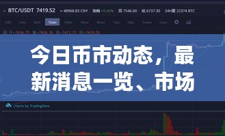 今日币市动态，最新消息一览、市场走势深度分析与预测