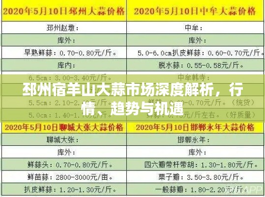 邳州宿羊山大蒜市场深度解析，行情、趋势与机遇