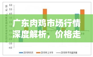 广东肉鸡市场行情深度解析，价格走势、影响因素一网打尽！