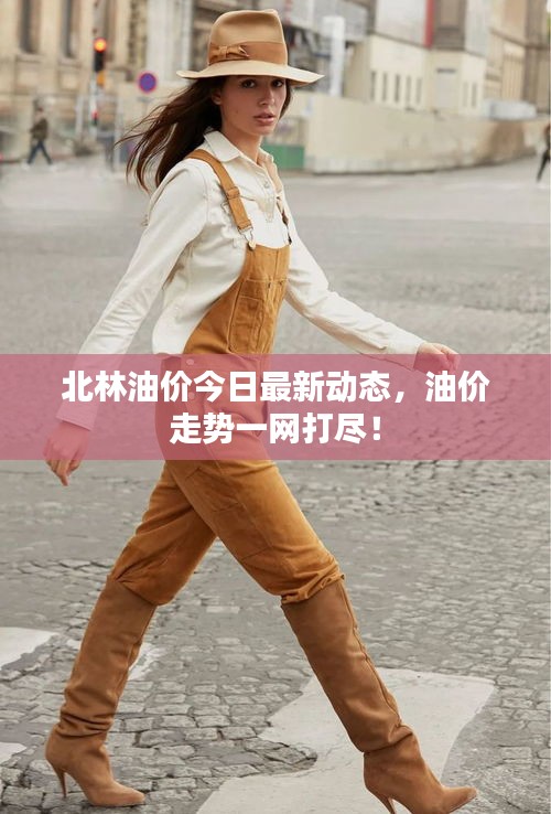 北林油价今日最新动态，油价走势一网打尽！