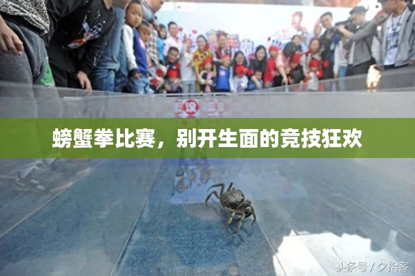 螃蟹拳比赛，别开生面的竞技狂欢